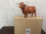 Border Fine Arts Highland Bull Model A5233 - New Boxed - 17 x 12 cms approx
