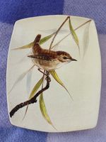 Vintage Painted Plaster Plaque Wren Signed R. Stringfellow