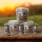 Wild Bird Seed Fruity Filled  Feast- 5 Litre tub-FREE 500ml CAN WITH EVERY ORDER