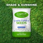 20KG Premium Shady Area Lawn Seed Grass Seed Shaded  Under Trees Ivisons Seeds