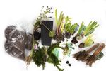 Pond Starter Packs - Pond topup Packs - Oxygenating - Compost and Pots