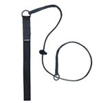 Dominant Dog Collar - Grot - French Ring Sport with Handle - For dog training