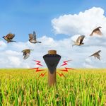 Bird Scarer 13 Sounds Effective Weatherproof Animal Deterrent Device for Garden-