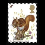 NATURE RED SQUIRREL : 1977 British 9p. postage stamp [MNH]