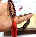 Certified Rare Red Sandalwood Mala 108 + 1 Bead Hindu Japa Yoga Necklace Rosary