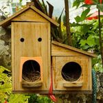 10x Homing Pigeon House Door Only in but Not Out Barrier Free Pigeon Nest Door