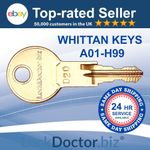 WHITTAN PROBE & LINK Locker Replacement Keys A01-H99 | FREE SHIPPING (RM48)