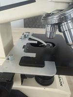 Novex Binocular K series Microscope Great for Koi Keepers  