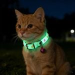 1pc Glowing Pet Collar with Paw Print Design - Luminous Night Safety Collar for