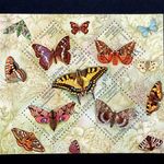 Ukraine 2004,  Block of stamps "Butterflies"