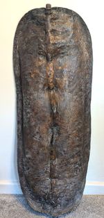 Antique 19th Century Sudanese Shilluk Thick Hide Tribal Warriors Shield 117cm