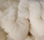 PREMIUM QUALITY Needle Felting CARDED BRITISH wool fast felting stuffing 1kg