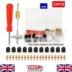 33Pcs Tyre Brass Valve Core With Remover Tool Schrader Valve For Car Bike Repair