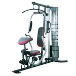 Weider Pro 5500 Multi-Gym - In absolute immaculate condition 