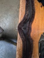 shires ARMA superfleece girth