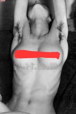 Madonna Promo Shot "Sex" 10 x 8 Publicity Photo