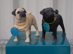 Minature Fawn Pug Dog Ornament or Black Pug Dog Statue by Leonardo BNIB