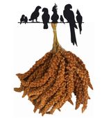 Premium Red Millet Spray Springs Bird Treat Budgie Canary Cockatiel Finch Parrot