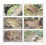 Frog bullfrog fire-bellied toad MNH stamp sheetlet