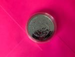 2 OZ 2024 Tudor Seymour unicorn - Tudor Beasts 2oz Silver Coin