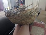 bad bunny straw pava hat