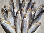 Stockfish Roach (lat. Rutilus rutilus). Taranka. Fish, salted, dried fish.