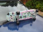 COMPLETE SKATEBOARD  CRUISER SANTA CRUZ x ELEMENT x IMPALA ****FREEPOST