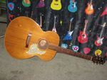 Shine solid-top acoustic guitar, superb player, w/gigbag