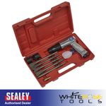 Sealey Air Hammer with Chisels Long Stroke Air Tool Workshop Garage