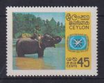 Sri Lanka Ceylon 1967 Boy on Elephant Mi. No. 363 ** 
