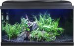 Swell Aquarium 60cm Tropical Freshwater LED Fish Tank Kit 54ltrs Coldwater Fish