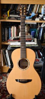 Faith Mercury Parlour Guitar All Solid Spruce Trembesi + Hardcase – Low Action