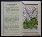 LONDON PRIDE 2nd Series RARE Kensitas Small Silk Flower issued 1934 SUPERB