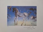 Salvador Dali Signed Lithograph - Very Special Unicorn