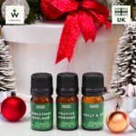 Holy Scents of Christmas Fragrance Set