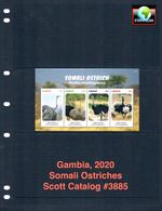 $18.75 Scott Value - 2020 GAMBIA Ostriches s/s Birds West Africa CV MNH NH UMM