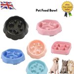 Dog Bowl Slow Feeder Pet Bowl Anti Bloating Anti Slip Feet Interactive Feed Dish