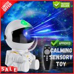 Calming Autism LED Light Sensory Toys Projector Multicolour Galaxy Star Lamp UK