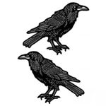 Crow Raven Embroidery Black Patch Gothic Iron On Sew On Applique for Jacket Bag