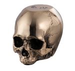Buster and Punch x Travis Barker Skull Doorstop Stainless Steel Brass 4 Lb Decor