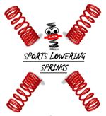 LO LOWERING SPRINGS for HONDA CIVIC Mk8 FN2 TYPE R 07-12 20mm