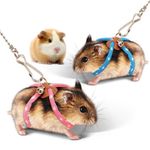 Adjustable Small Pet Rat Mouse Hamster Harness Rope Lead Leash with Bell