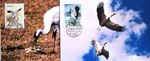 China - 2 Maximum Cards Birds, /2,