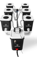 RDWC Six Bucket Hydroponic System