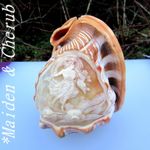 Large Carved Cameo LAMPSHADE Helmet Sea Shell NeoClassical Maiden & Cupid Cherub
