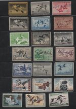 US 1930s-1980s COLLECTION OF 56 FEDERAL DUCK HUNTING STAMPS USED FEW UNSIGNED