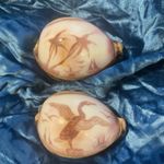 Carved Cowrie Shell Etched Bird & Coastal Sea Shell Decor scrimshaw folk art