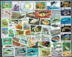 FISH ON STAMPS 100 ALL DIFFERENT COLLECTION NATURE (A)      19.4.26