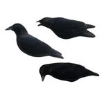 Final Approach FA 194002 Last Pass Fully Flocked Crow Decoys  3 Pack  Decoys