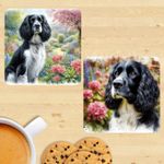 Springer Spaniel Coasters, Watercolour Print Set Of 2, Mug Mats, Gift